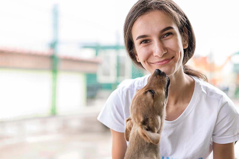 Lieber Tiere mit Tierheimsponsoring unterstützen als selbst Futter spenden