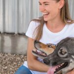Tierheimsponsoring kann für Tierheime die Rettung sein