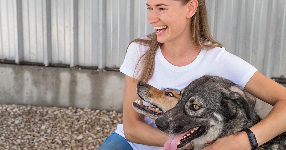 Tierheimsponsoring kann für Tierheime die Rettung sein
